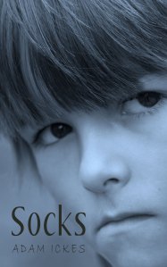 Socks-cover