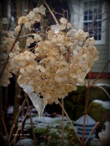 PHOTO PROMPT – Copyright Janet Webb 