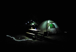 lights-of-sturgis