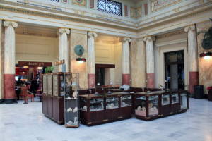 Copyright – Dawn M. Miller